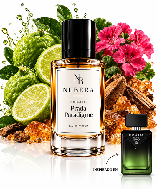 N-271 - Inspirado en Paradigme
